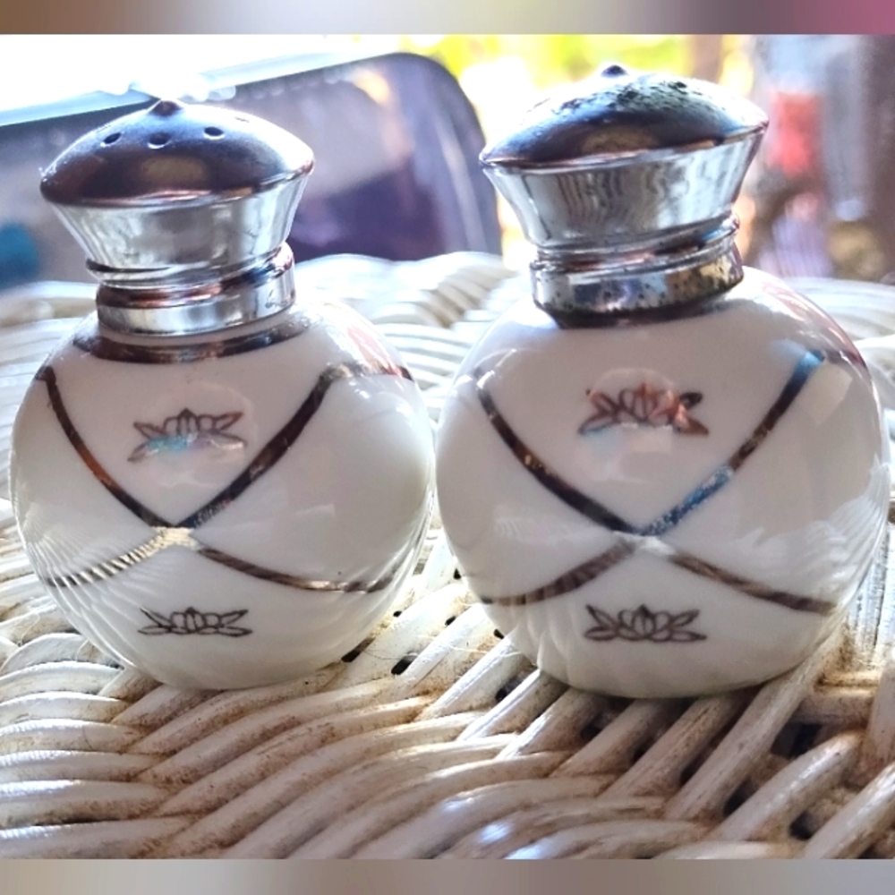 Vintage Irice Porcelain Salt and Pepper Shakers-Hand Painted-White & Silver 2¼